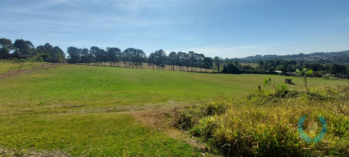 Fazenda à venda com 4 quartos, 800m² - Foto 10