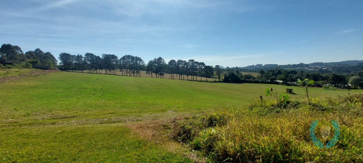 Fazenda à venda com 4 quartos, 800m² - Foto 12