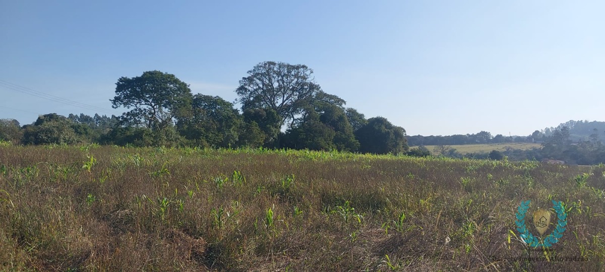 Loteamento e Condomínio à venda, 9000m² - Foto 10