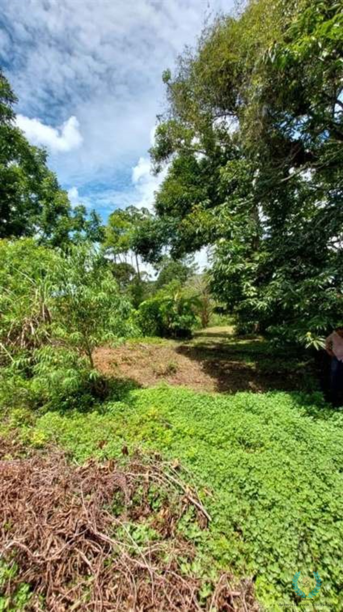 Fazenda à venda com 3 quartos, 25000m² - Foto 9