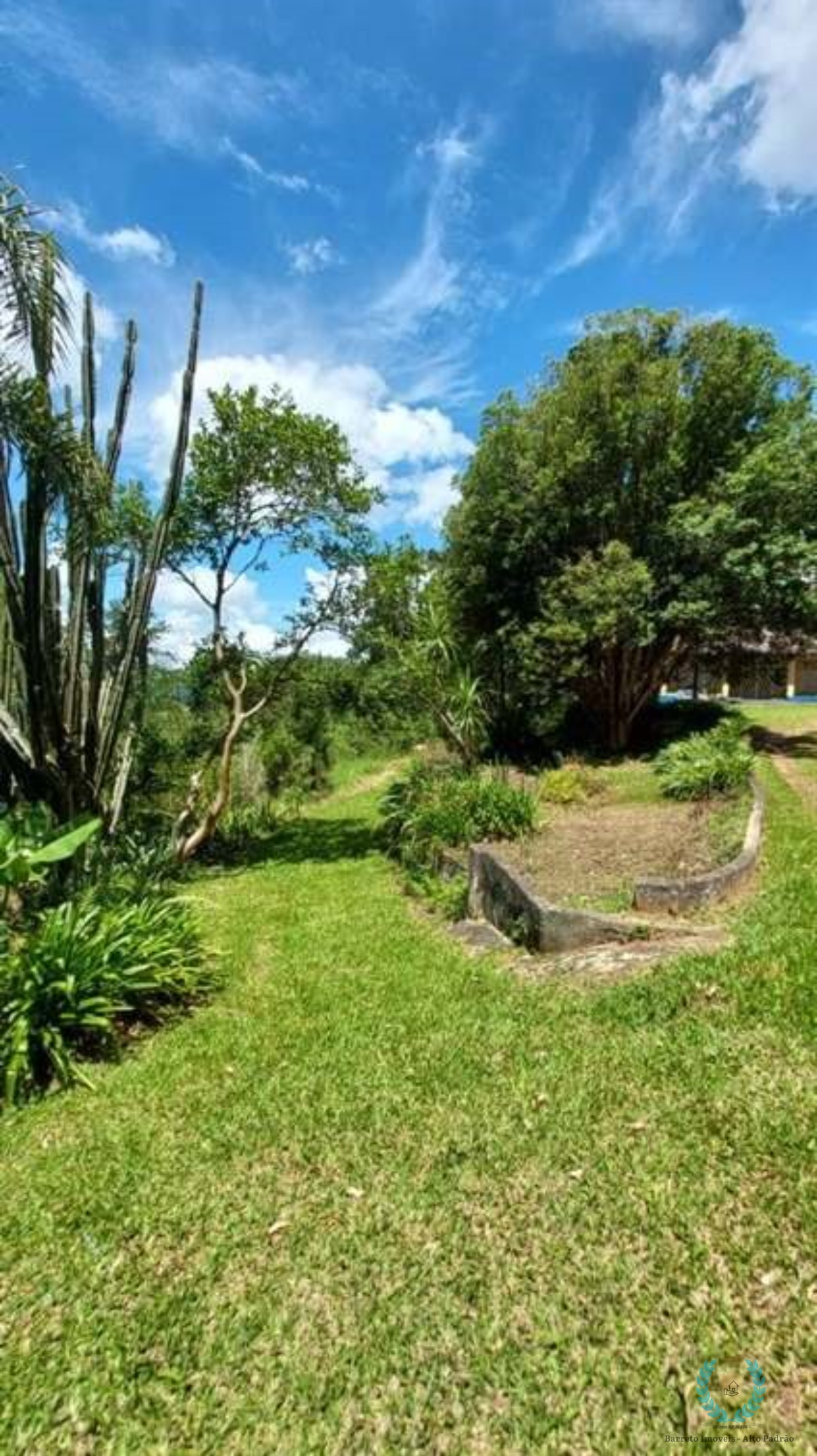 Fazenda à venda com 3 quartos, 25000m² - Foto 6