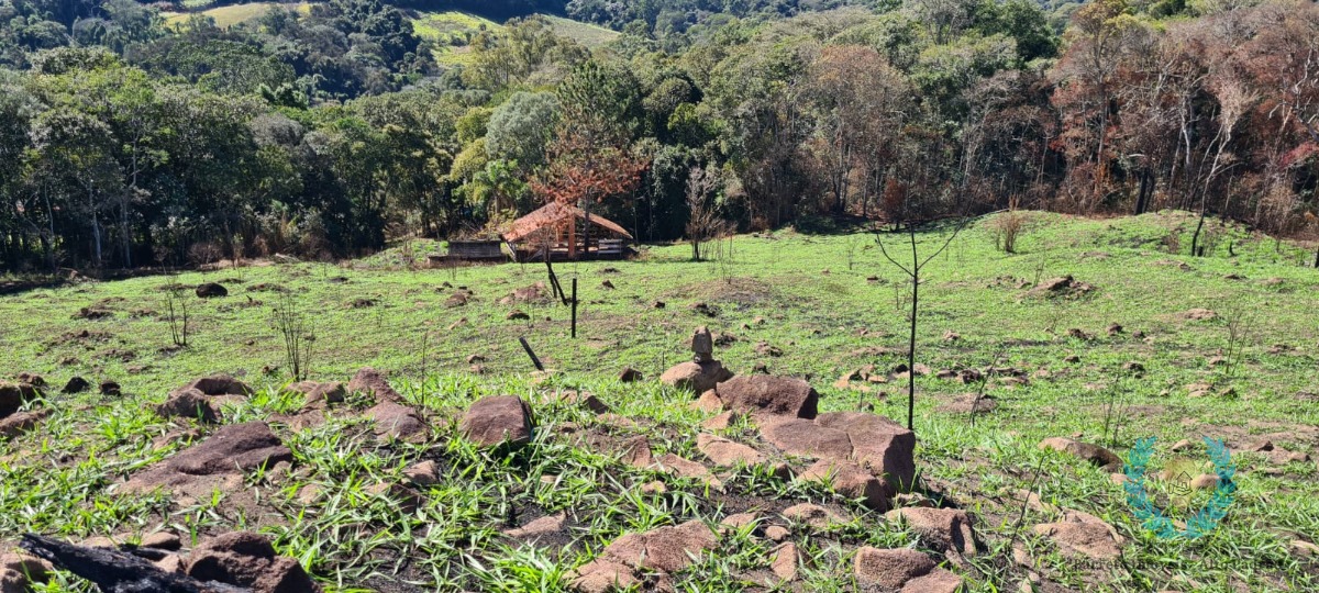 Fazenda à venda com 3 quartos, 250m² - Foto 18