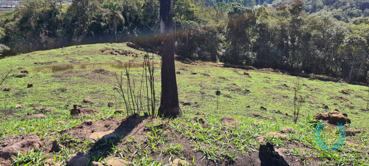 Fazenda à venda com 3 quartos, 250m² - Foto 15