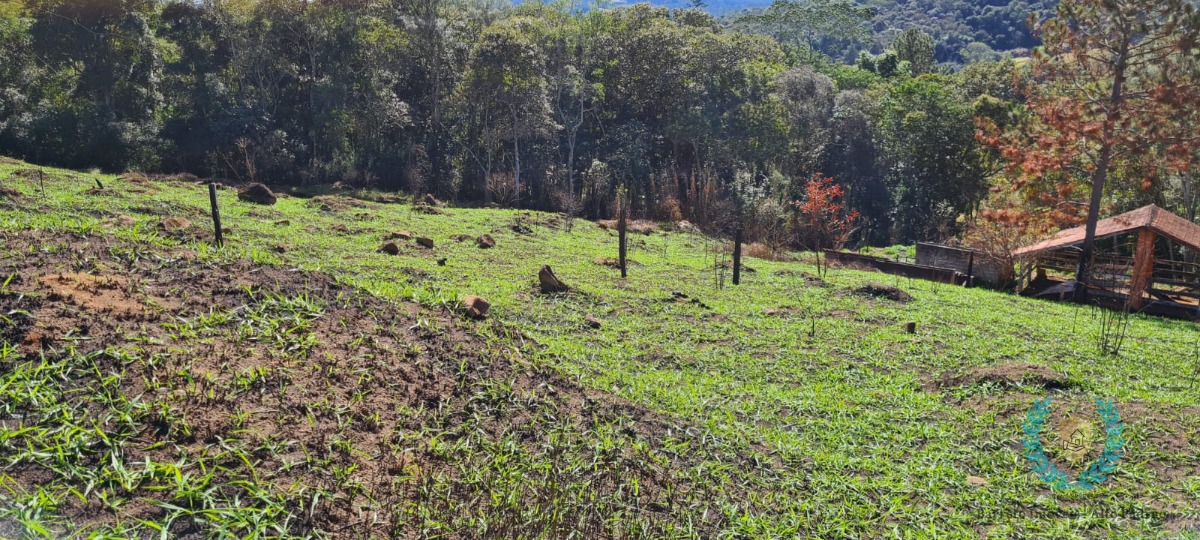 Fazenda à venda com 3 quartos, 250m² - Foto 20