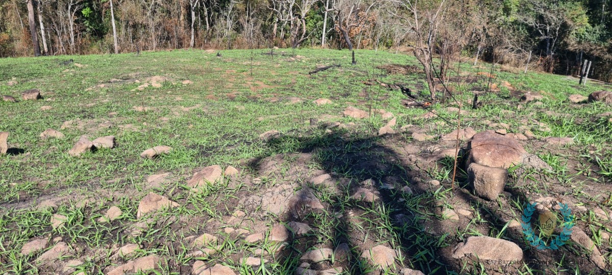 Fazenda à venda com 3 quartos, 250m² - Foto 16