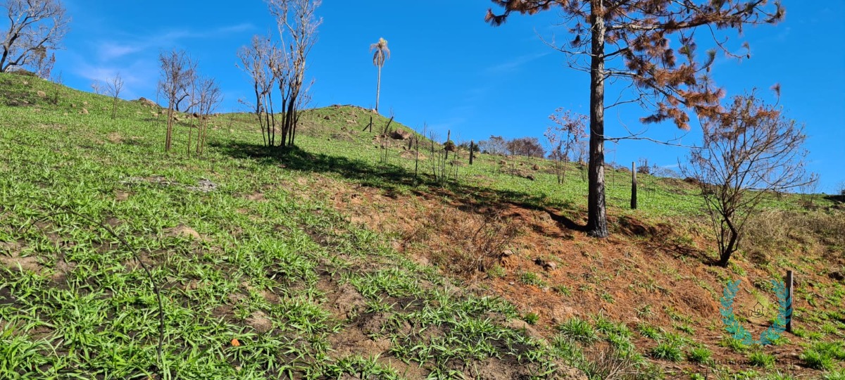 Fazenda à venda com 3 quartos, 250m² - Foto 21