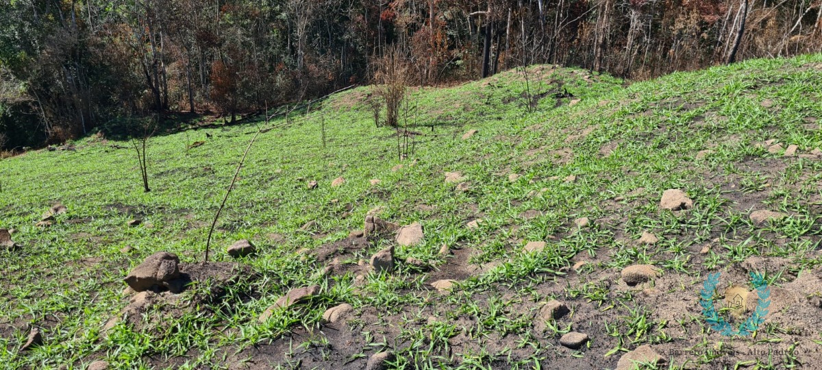 Fazenda à venda com 3 quartos, 250m² - Foto 17