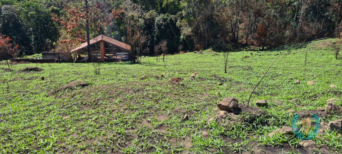 Fazenda à venda com 3 quartos, 250m² - Foto 19