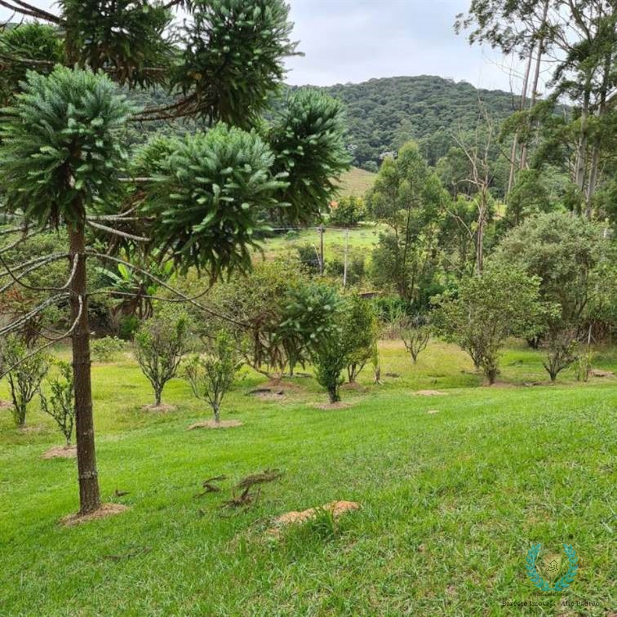 Fazenda à venda com 3 quartos, 250m² - Foto 13