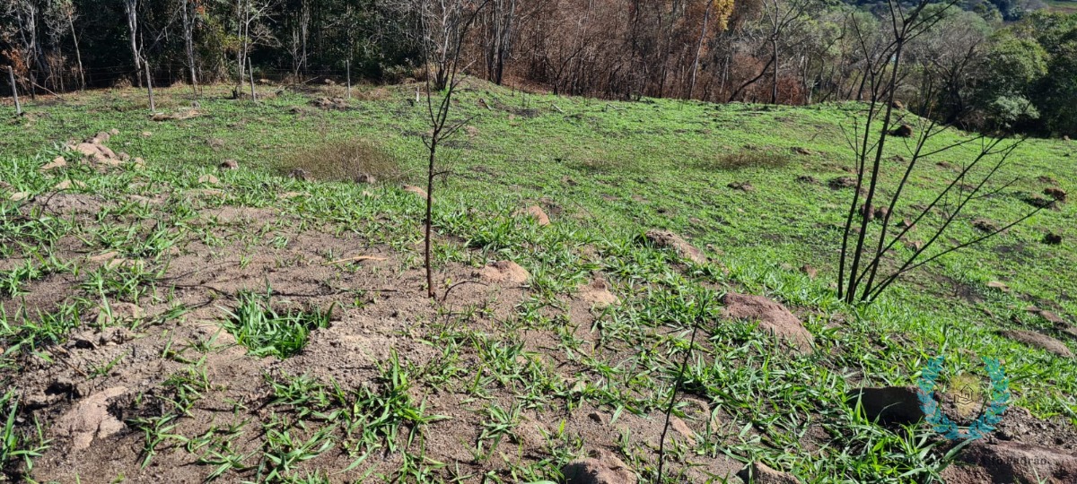 Fazenda à venda com 3 quartos, 250m² - Foto 14