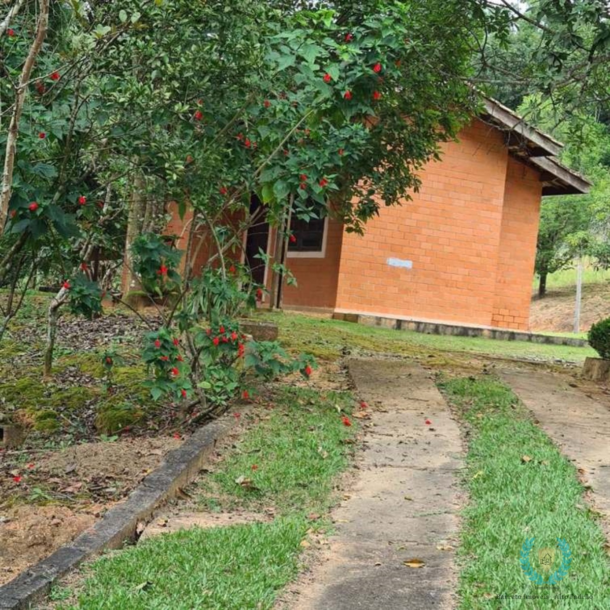 Fazenda à venda com 3 quartos, 250m² - Foto 3