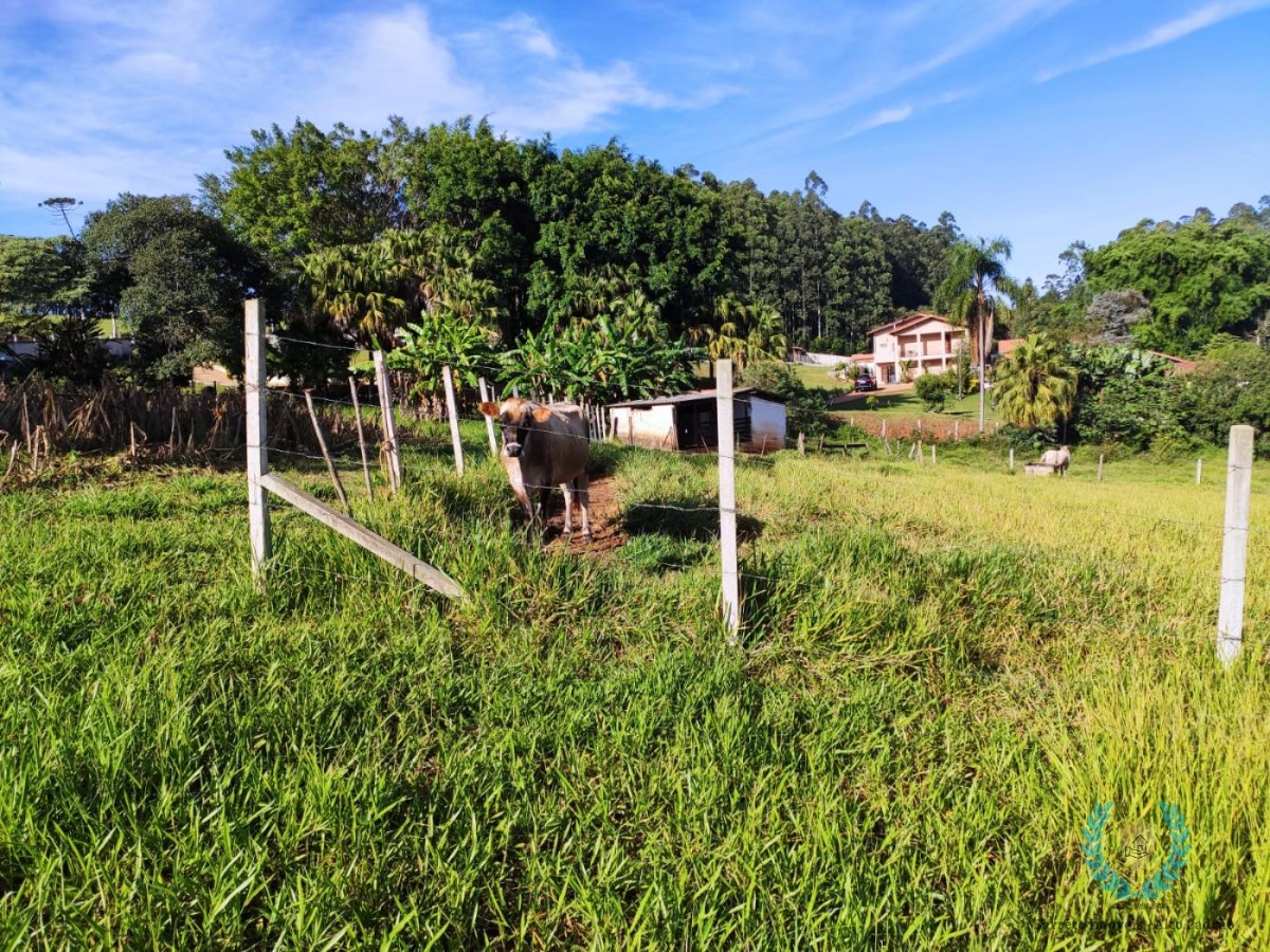 Fazenda à venda com 3 quartos, 420m² - Foto 18